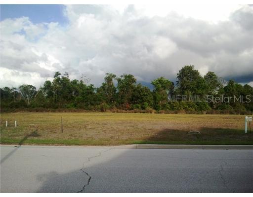 7122 Indian Grass Rd., Saint Cloud, FL 34773