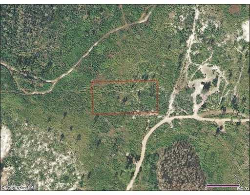 Holopaw Groves Rd., St Cloud, FL 34772