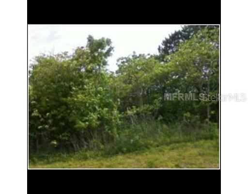 Bauer Bert Dr., Davenport, FL 33837