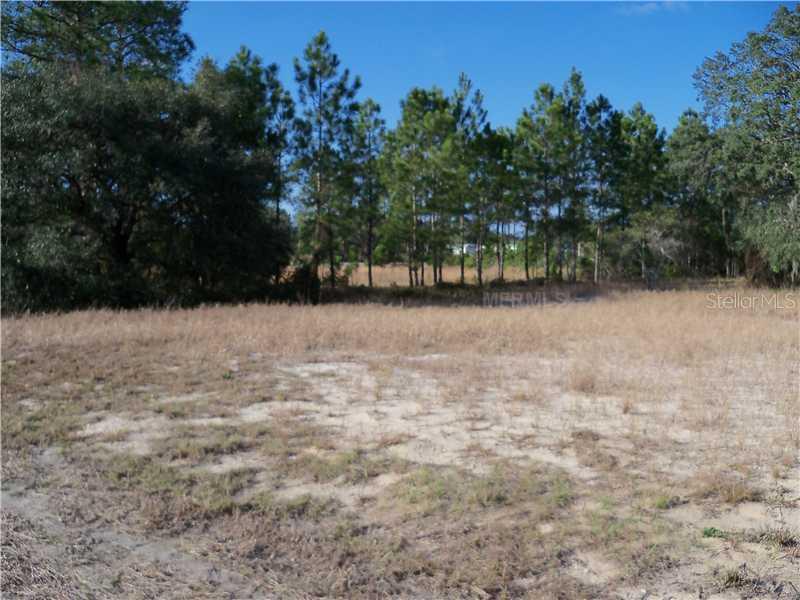 118 Deer Run Dr., Davenport, FL 33837