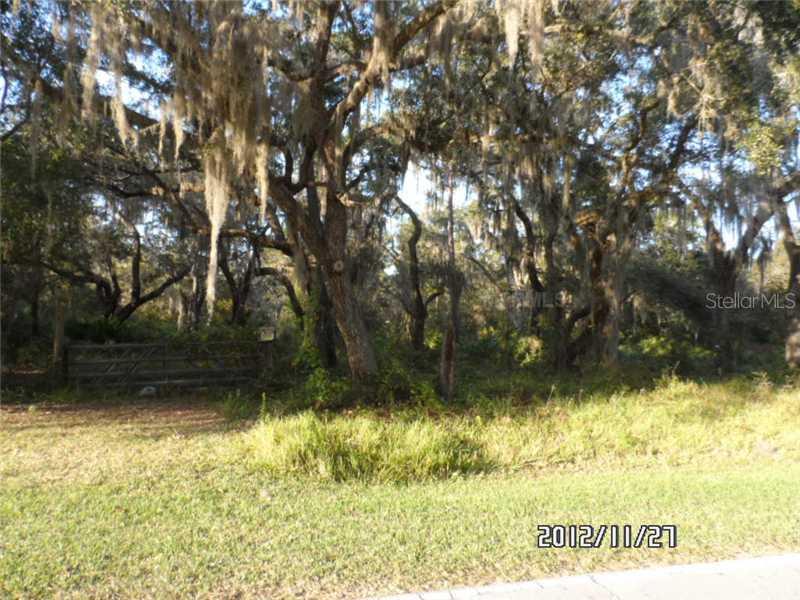 Alligator Lake Rd, St Cloud, FL 34772