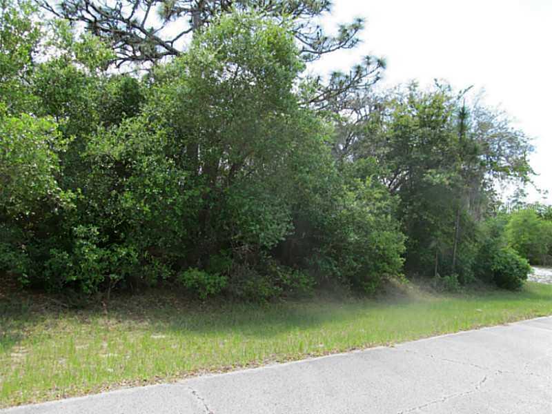 Vernon Ct., Poinciana, FL 34759