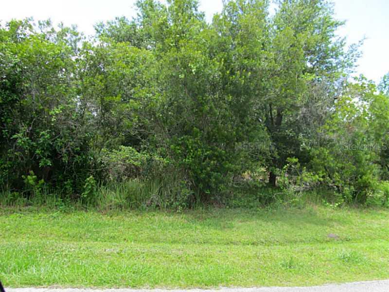 Nancy Ct., Kissimmee, FL 34759