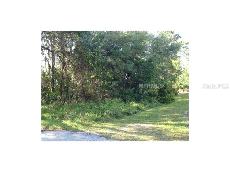 Crane Court, St. Cloud, FL 34771