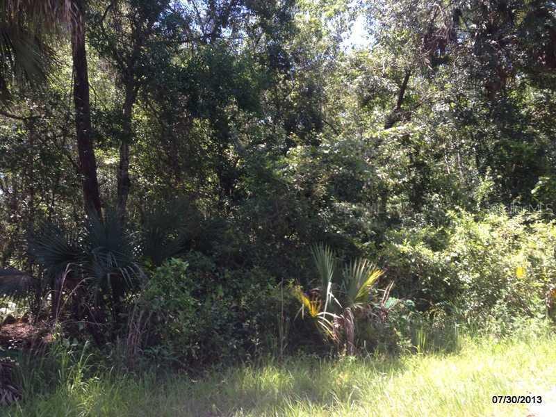 6707 Old Tampa Highway, Davenport, FL 33896