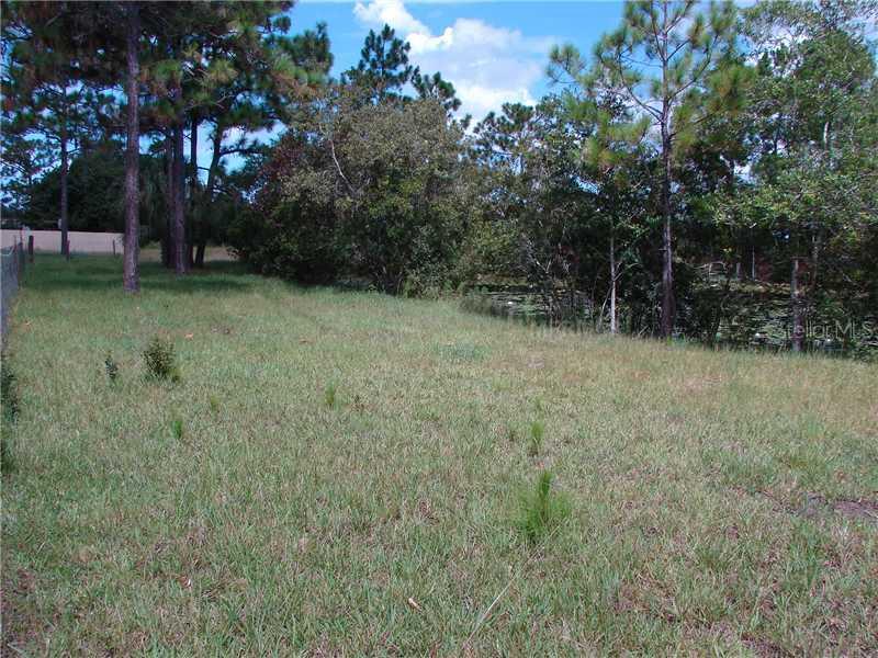 Lasalle Ave, St Cloud, FL 34772