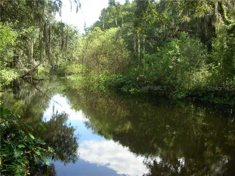 3134 Boggy Terrace Dr., Kissimmee, FL 34744