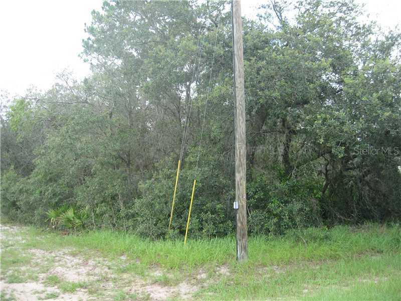Pilchard Ct., Poinciana, FL 34759