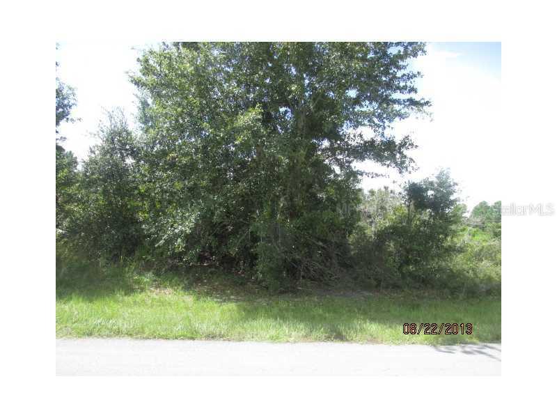 Mudfish Pl., Poinciana, FL 34759