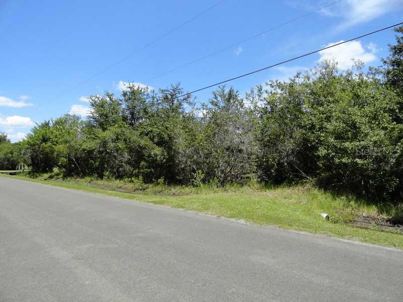 Packard Ave., St Cloud, FL 34772