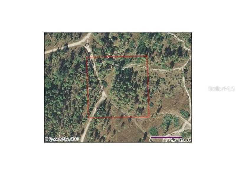 Holopow Groves, St Cloud, FL 34773