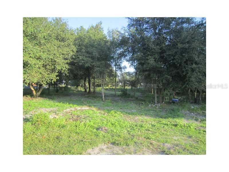 Lake Lizzie Dr., Saint Cloud, FL 34771