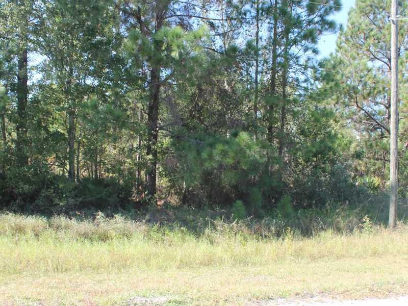 1611 Hidden Palms Dr., Davenport, FL 33897