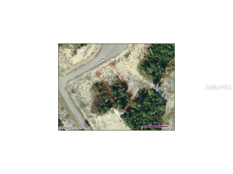 Lily Way, Poinciana, FL 34759