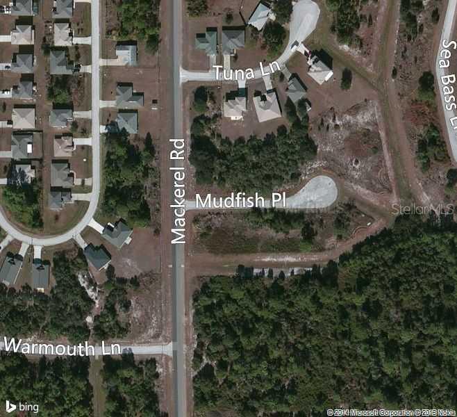 Mudfish Pl., Poinciana, FL 34759