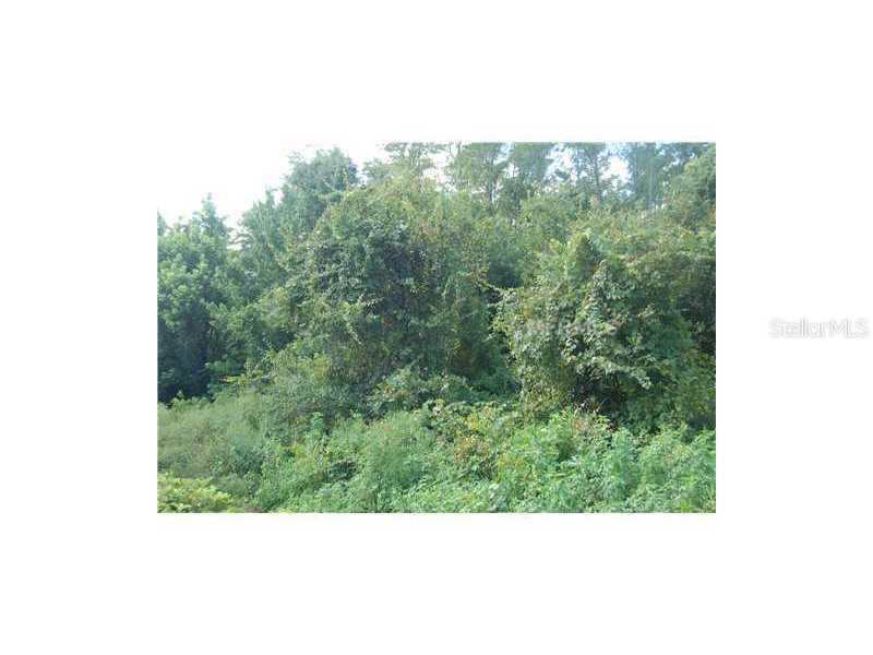 1414 Stuart Ln., Kissimmee, FL 34759