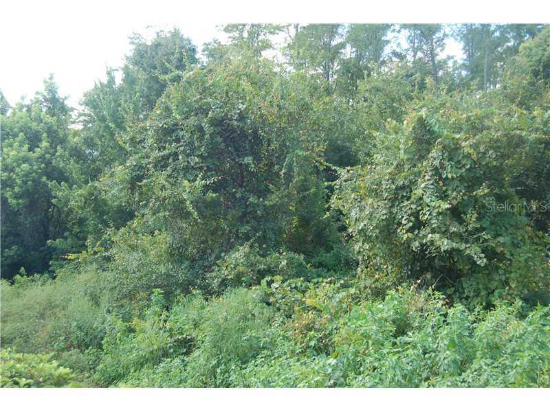 306 Michigan Ln., Kissimmee, FL 34759