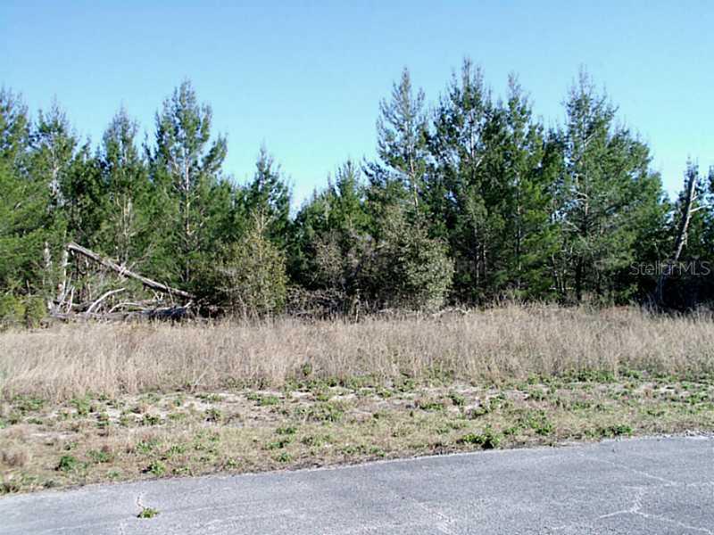 388 Daffodil Ln, Poinciana, FL 34759