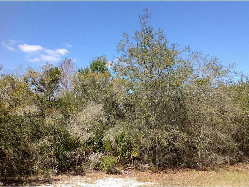 Alafia Way, Poinciana, FL 34759