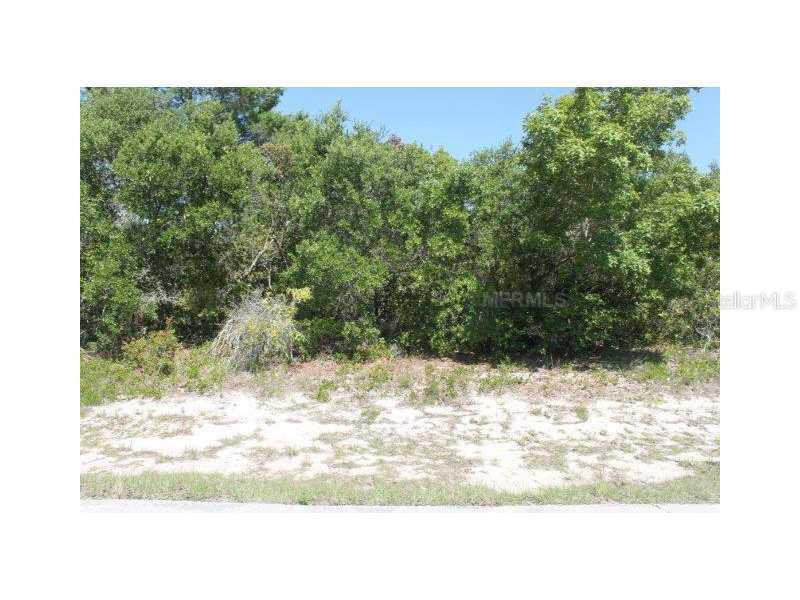 Amazon Way, Poinciana, FL 34759
