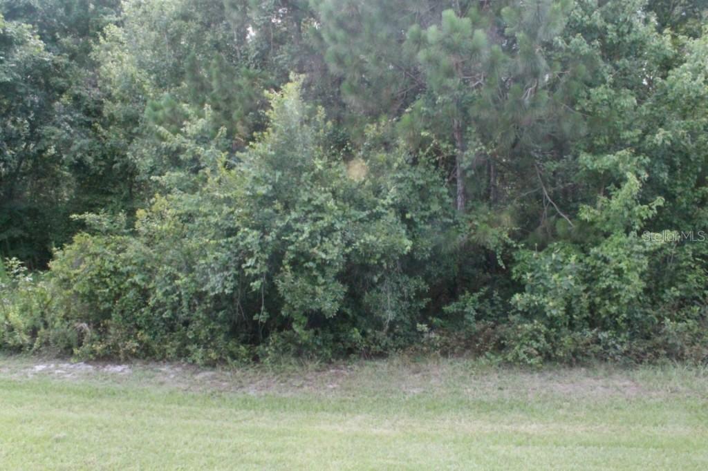 1702 Hidden Palms Dr., Davenport, FL 33897