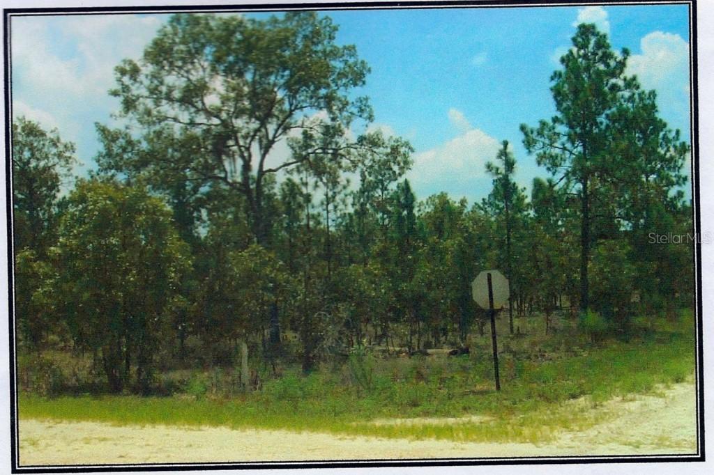 SE SE 2nd St., Williston, FL 32696