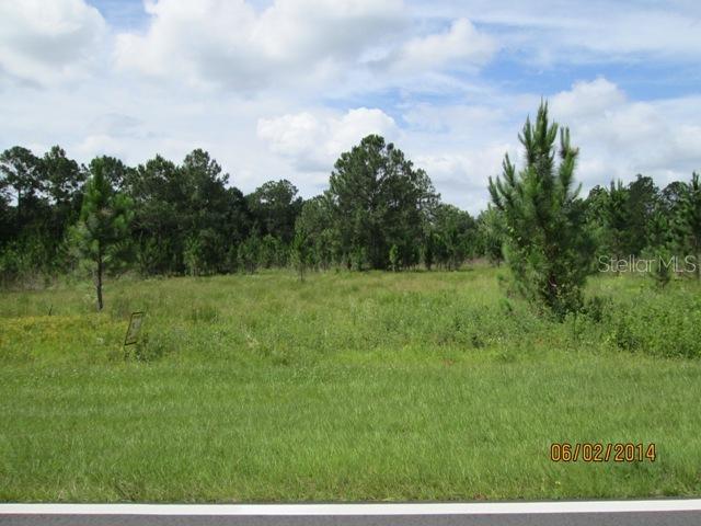5807 S Orange Blossom Tr., Davenport, FL 33896