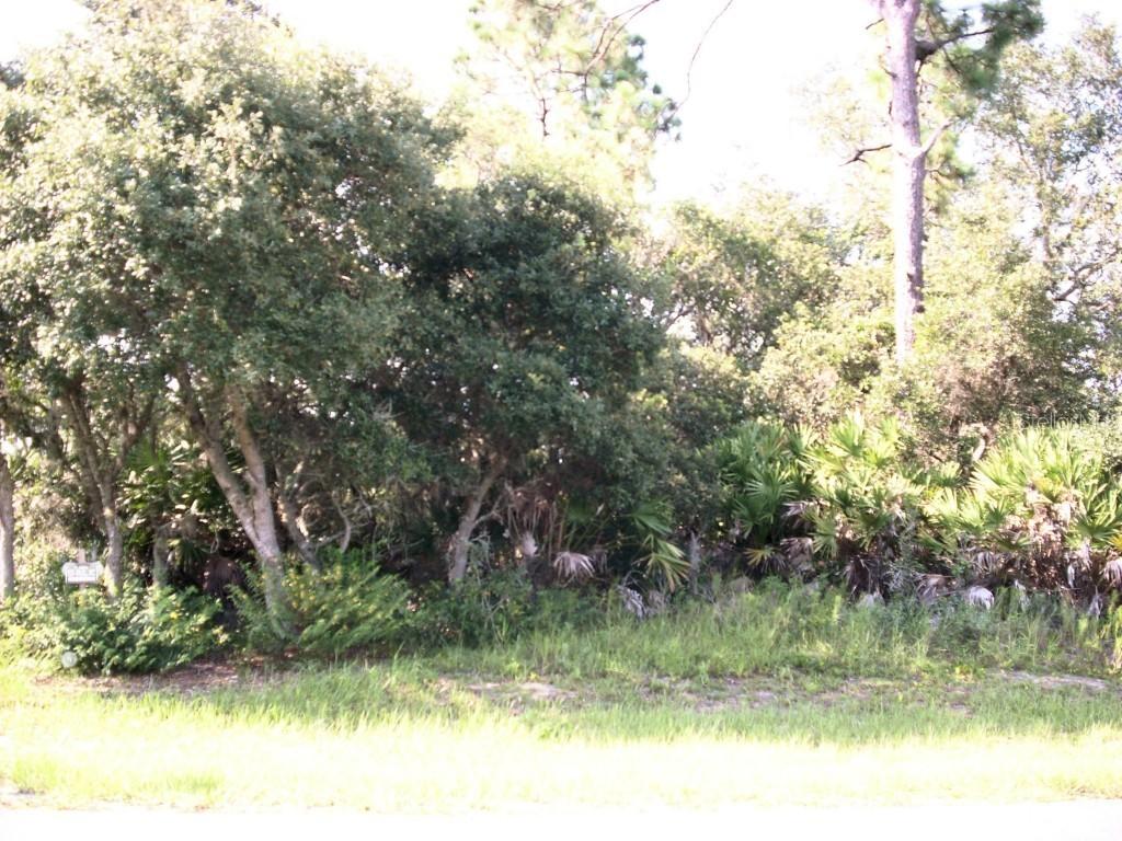 309 Puffer Ct., Poinciana, FL 34759