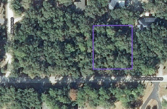 Alligator Lake Rd., Saint Cloud, FL 34772