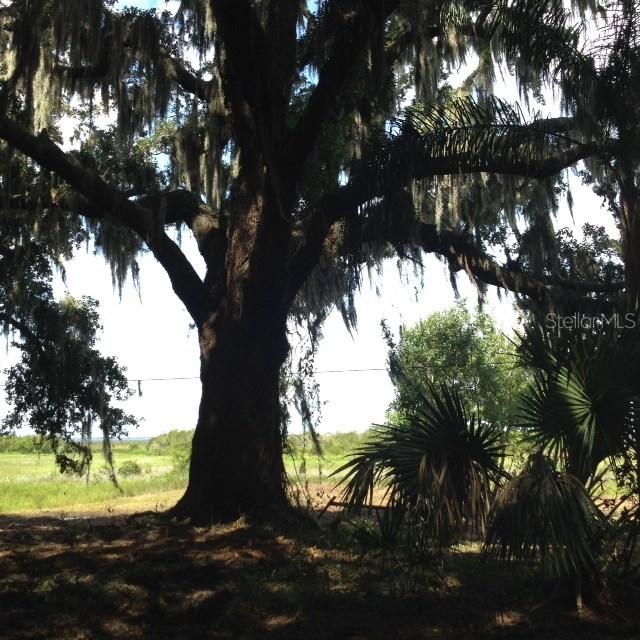 Lillian Black Rd., Saint Cloud, FL 34771
