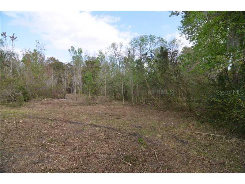 9943 Berry Dease Rd., Orlando, FL 32825