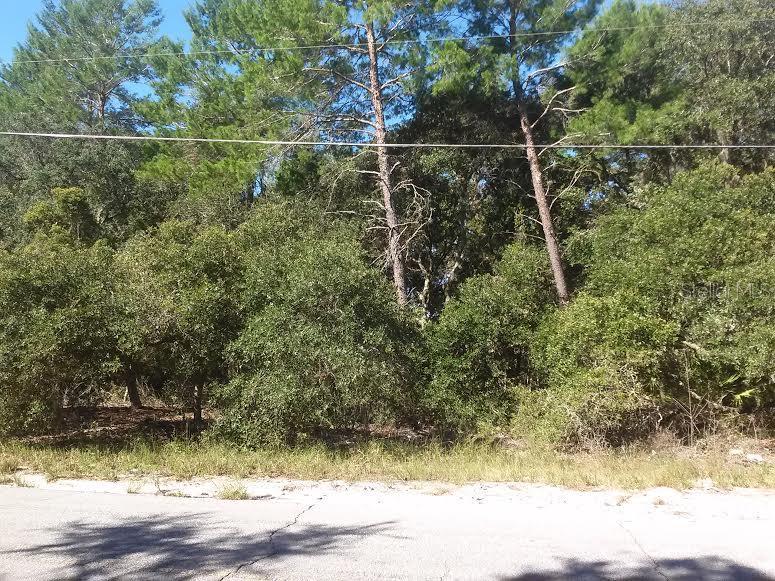 Haines Creek Rd., Leesburg, FL 34788
