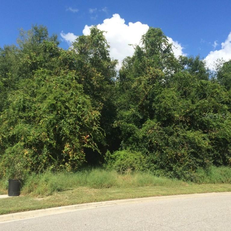 Palm Cove Dr., Orlando, FL 32835