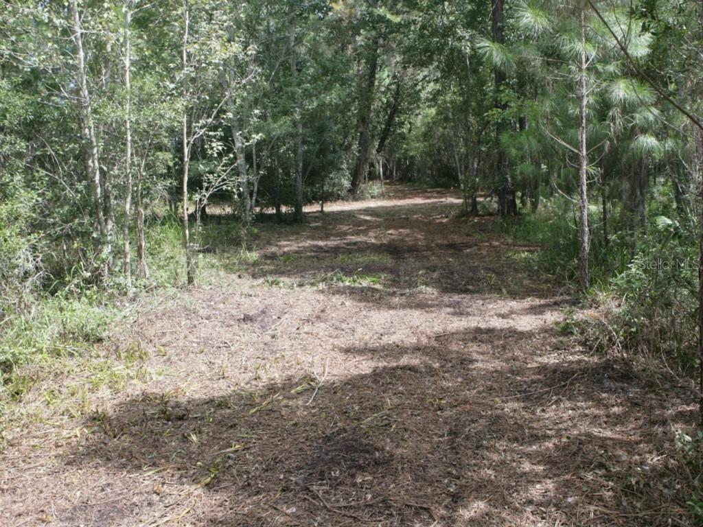 Country World Dr. #Lot 8, Davenport, FL 33897