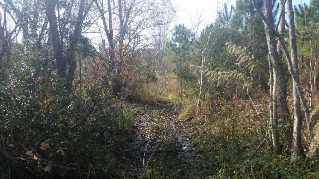 Country World Dr. #Lot 7, Davenport, FL 33897