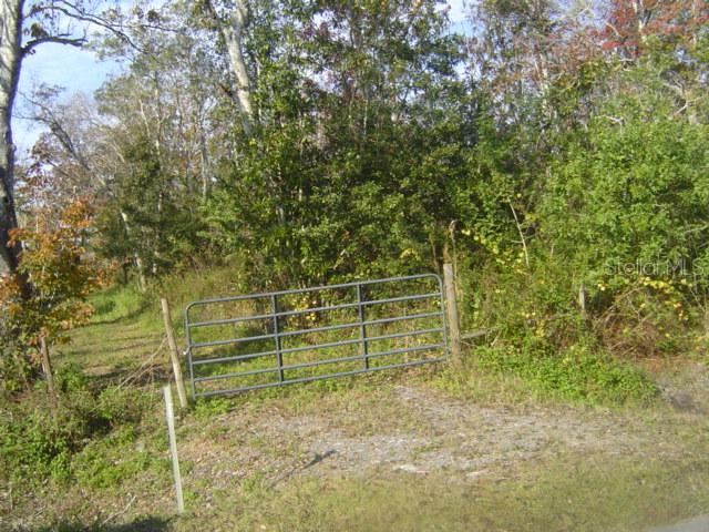 Packard Ave., St Cloud, FL 34772