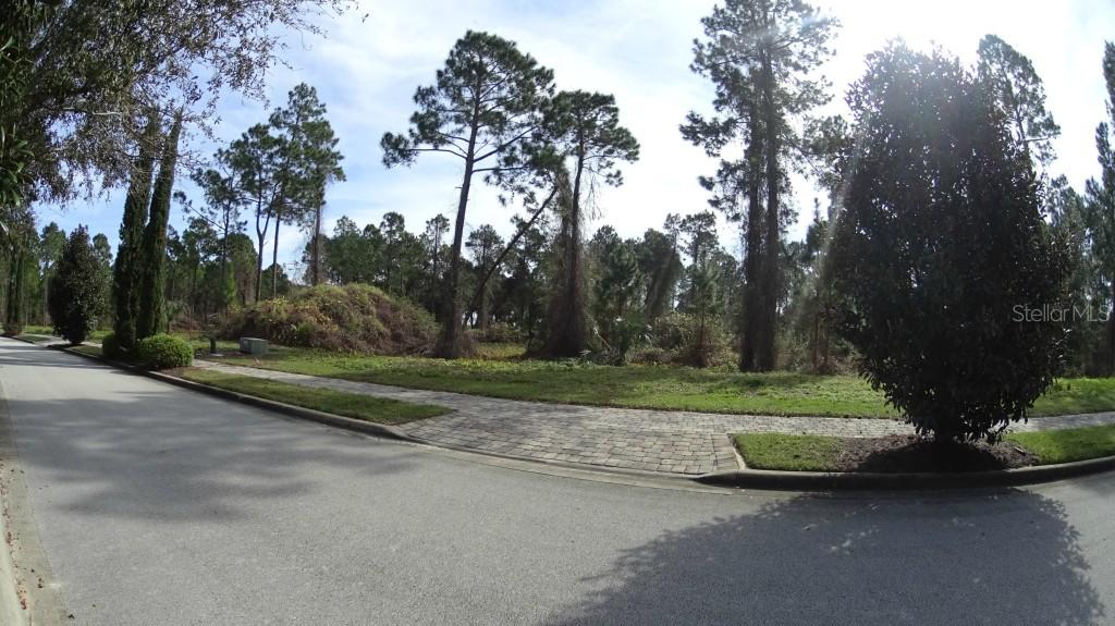 17007 Crete Way, Montverde, FL 34756