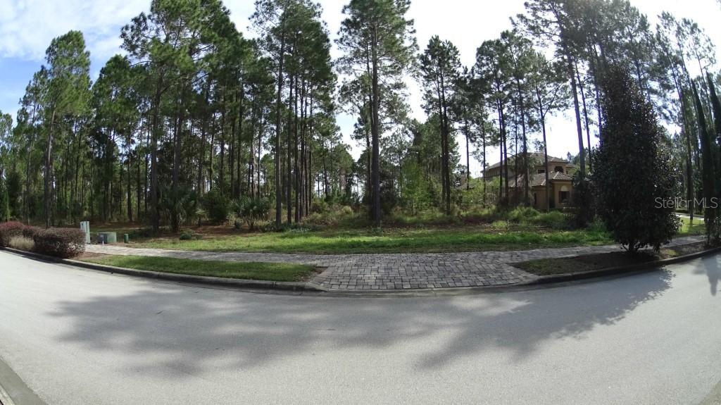 17129 Crete Way, Montverde, FL 34756