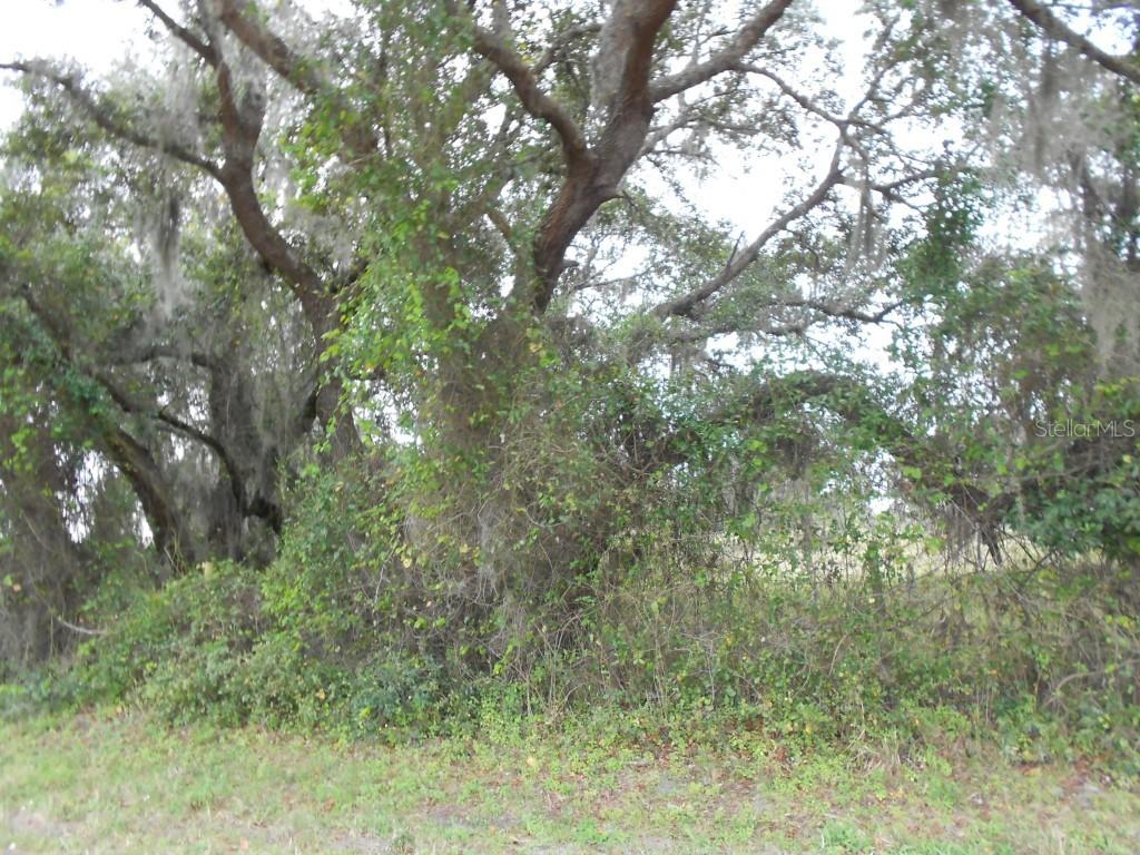 7467 Clearwater St., Englewood, FL 34224