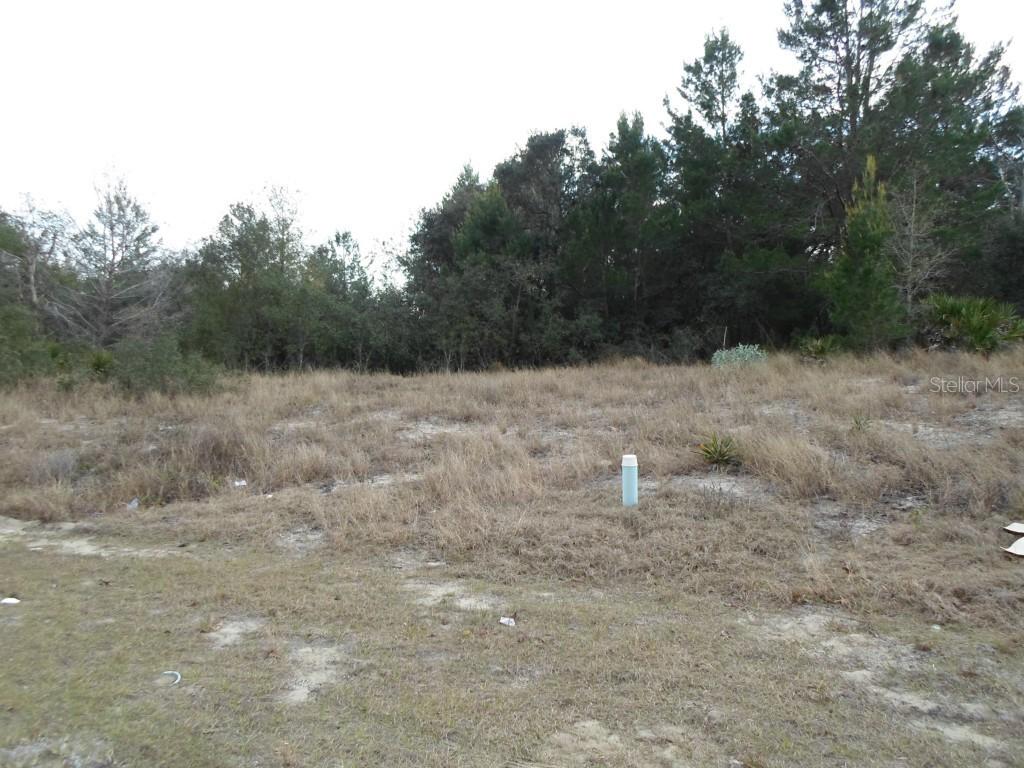 173 Willow Dr., Poinciana, FL 34759