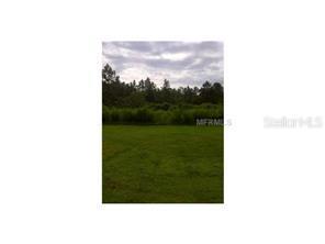 1403 Hamlin Ave., Saint Cloud, FL 34771