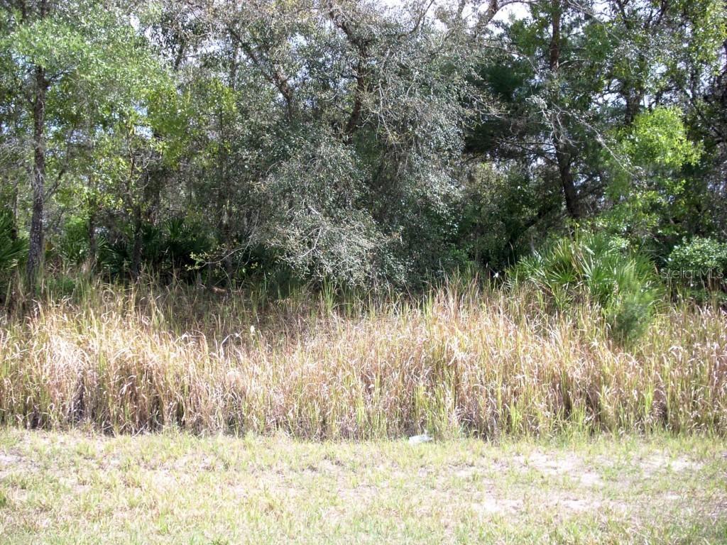 104 Willow Dr., Poinciana, FL 34759
