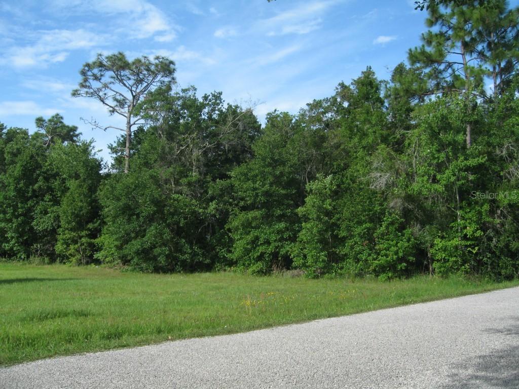 Robin Dr., Saint Cloud, FL 34772