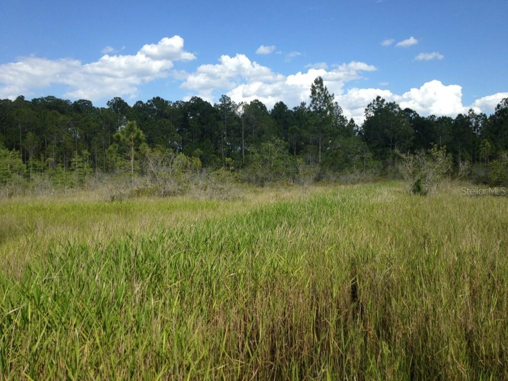 Lakeview Acres Rd., Saint Cloud, FL 34772