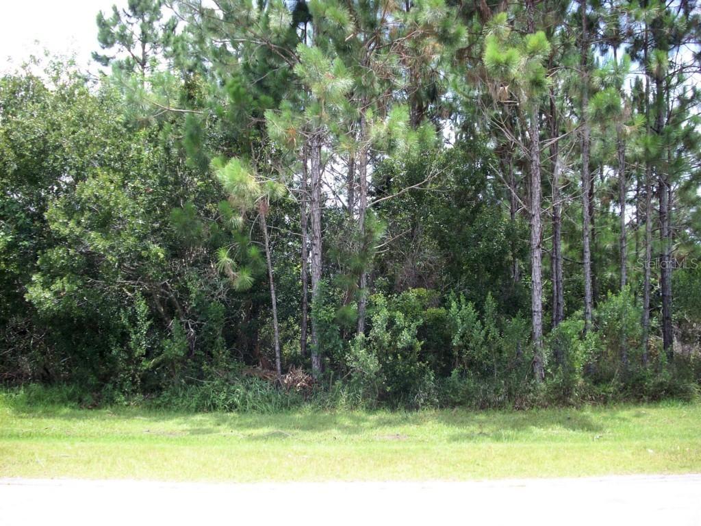 947 Louvre Ct., Kissimmee, FL 34759