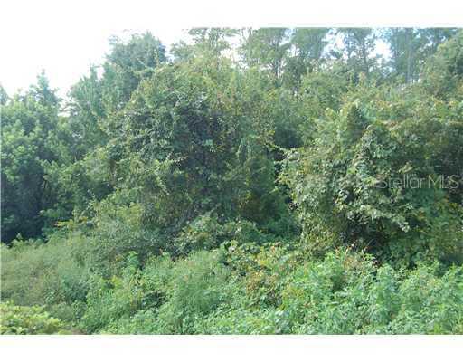 2 Willow Ln., Kissimmee, FL 34759