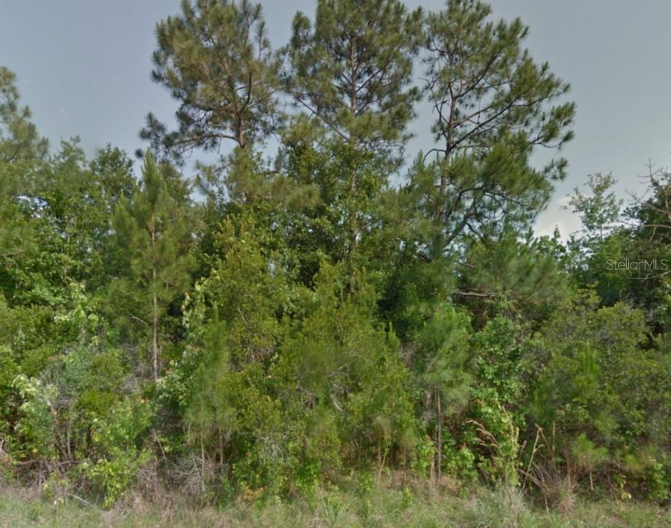 165 Sparrow Ct., Poinciana, FL 34759