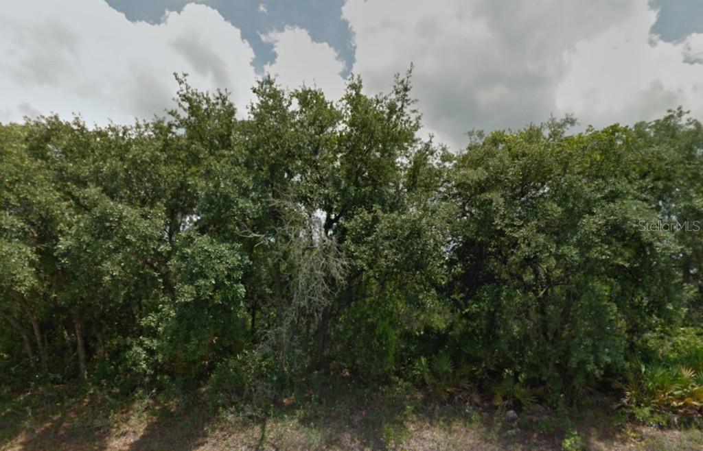 Saint Johns Ct., Poinciana, FL 34759