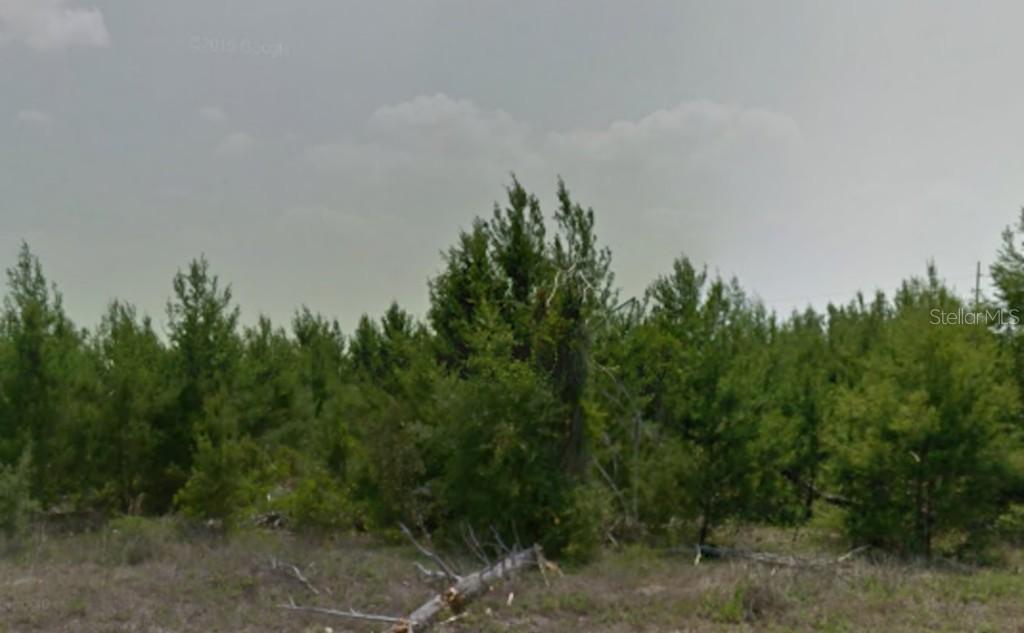 350 Daffodil Ln., Poinciana, FL 34759
