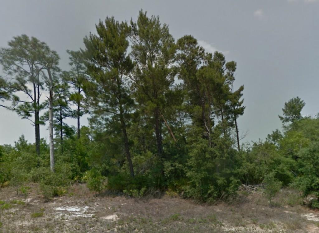 Hibiscus Dr., Haines City, FL 33844
